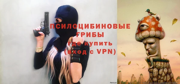 дурь Алексеевка